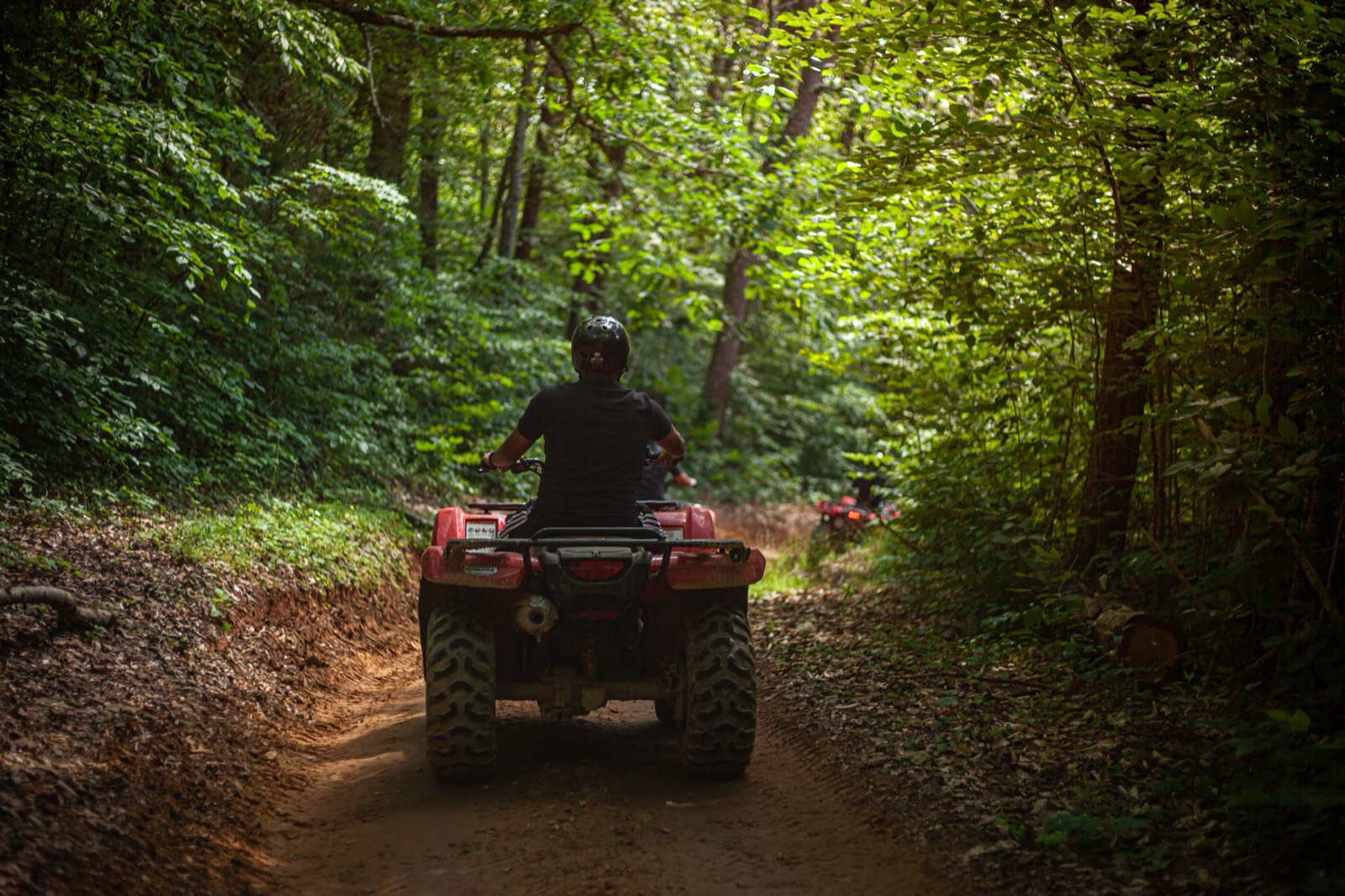Quad bikes on a jungle track